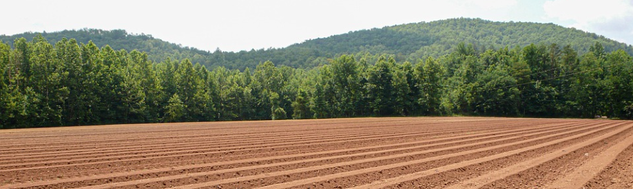 Ploughed Field 1