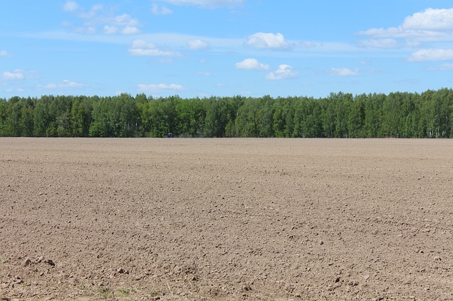 Large field for metal detecting