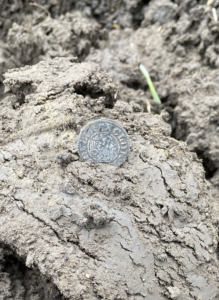 Hammered Coin at depth